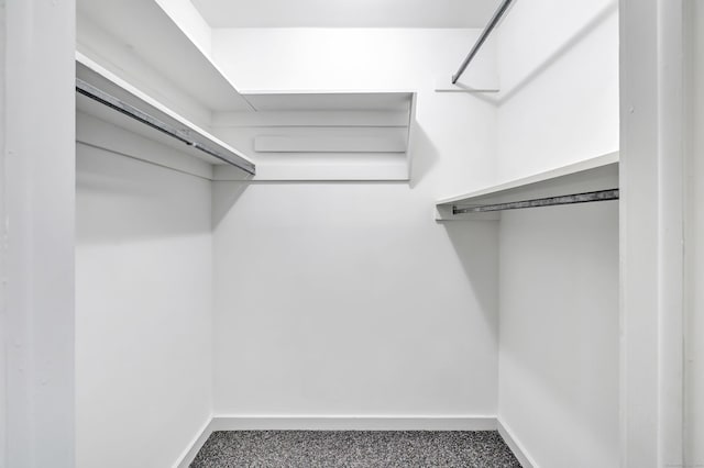 walk in closet with carpet floors