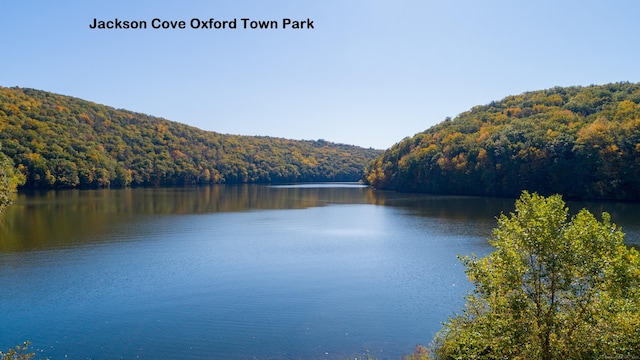water view featuring a view of trees