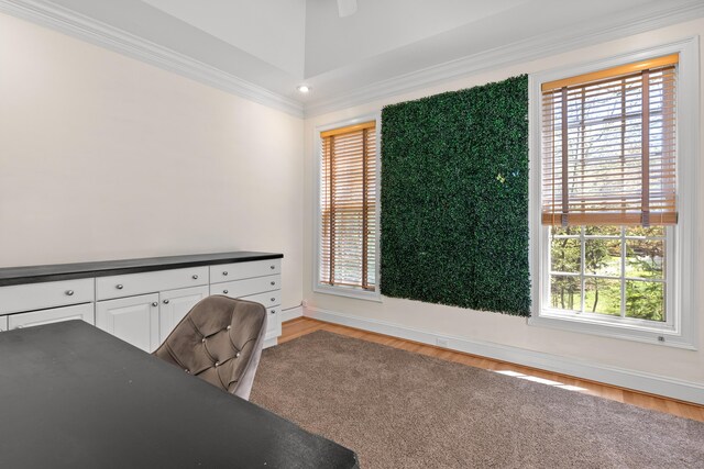 office featuring crown molding, a wealth of natural light, and wood finished floors
