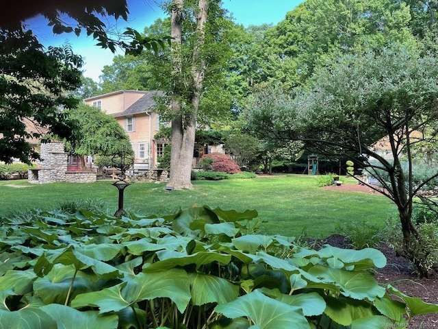 53 Sylvan Rd N, Westport, CT 06880 - view of green lawn