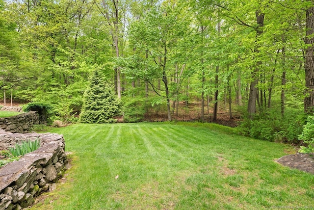 view of green lawn featuring a view of trees
