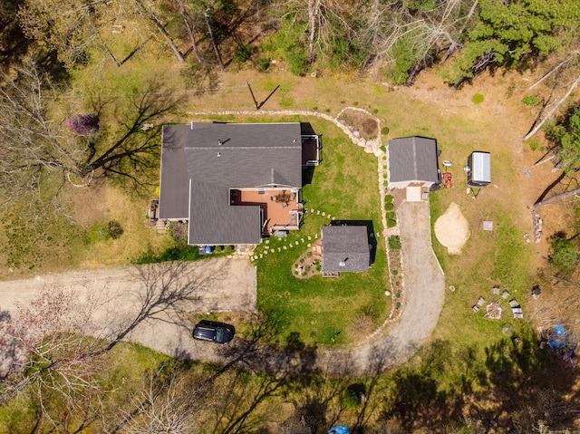 bird's eye view