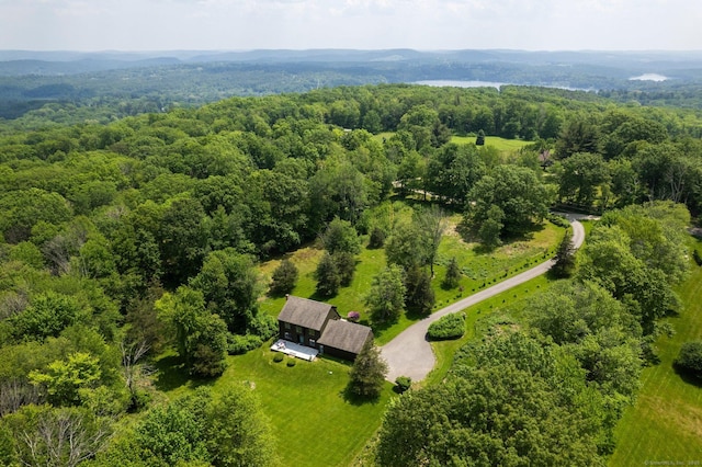 53 Upland Meadow Rd, Salisbury, CT 06068 - aerial view of a heavily wooded area