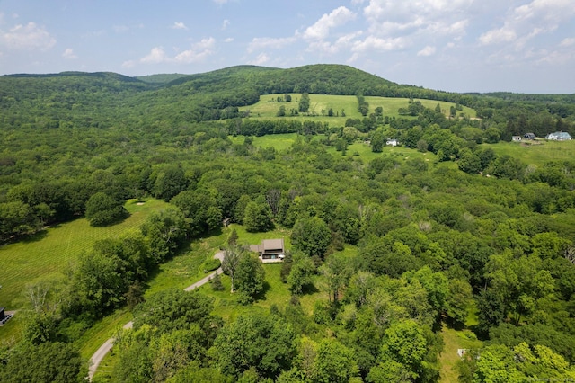 53 Upland Meadow Rd, Salisbury, CT 06068 - bird's eye view of a mountainous background