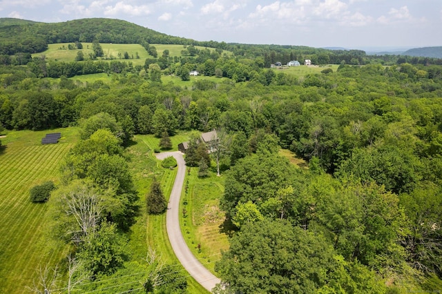 53 Upland Meadow Rd, Salisbury, CT 06068 - bird's eye view