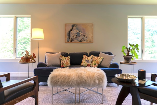 53 Upland Meadow Rd, Salisbury, CT 06068 - living area with baseboards