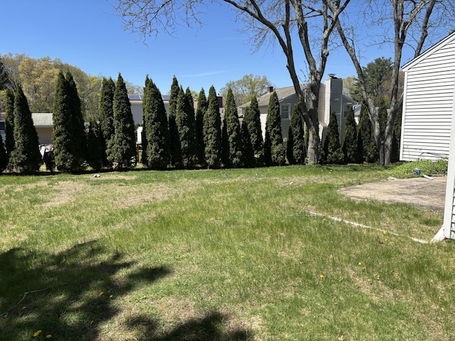 view of yard