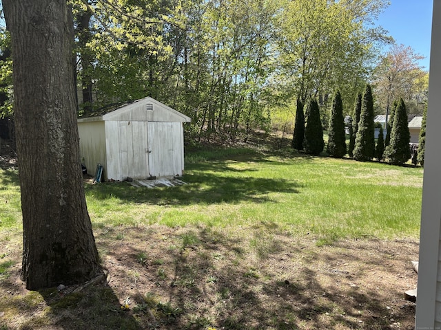 view of yard with a storage shed and an outdoor structure