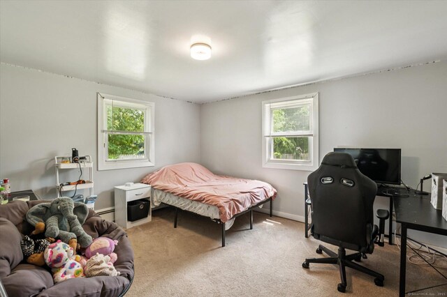 87 Hayes Rd, South Windsor, CT 06074 - photo 36