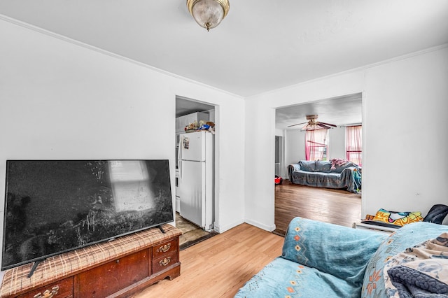 living area with crown molding and light wood-style floors