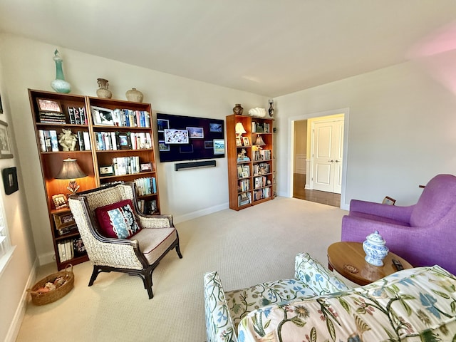 living area featuring baseboards and carpet