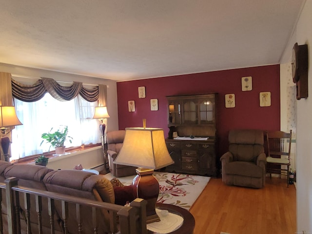 living area with wood finished floors