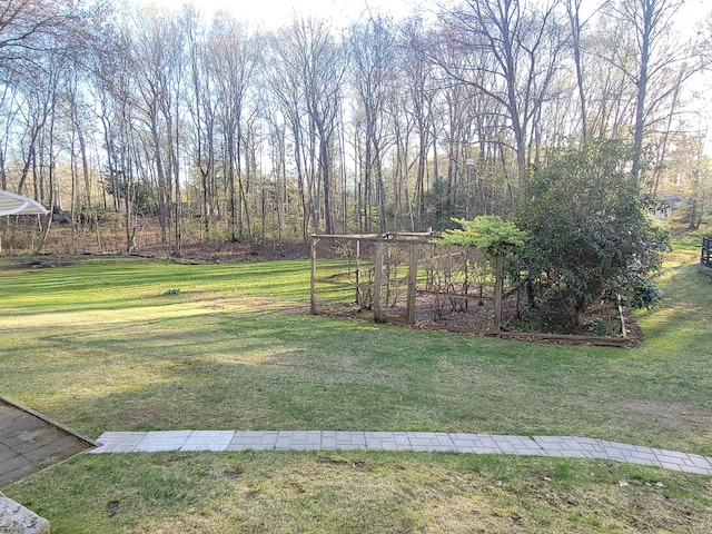view of yard