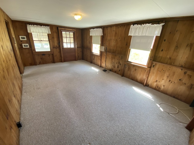 318 Billow Rd, Old Lyme, CT 06371 - carpeted empty room featuring wood walls