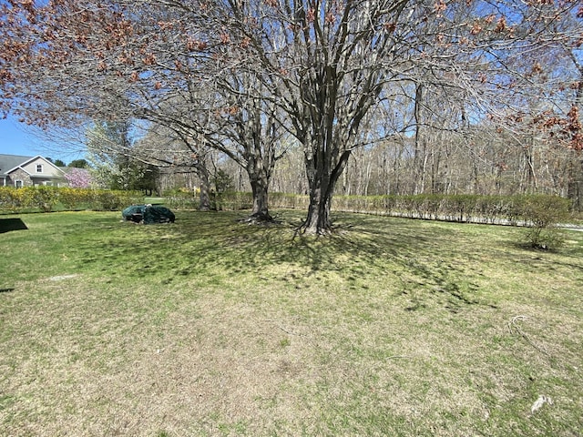318 Billow Rd, Old Lyme, CT 06371 - view of yard