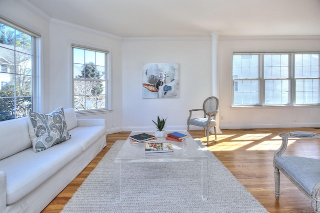 living area featuring crown molding, baseboards, and wood finished floors