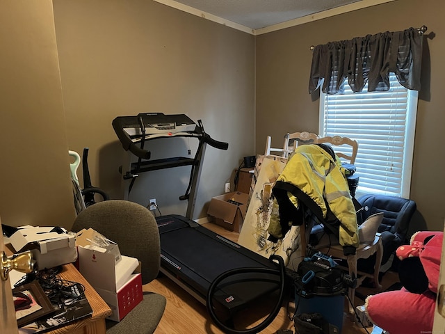 workout room featuring wood finished floors
