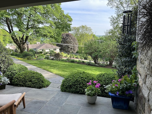 2 Ridgewood Dr, Danbury, CT 06811 - view of green lawn featuring a patio area