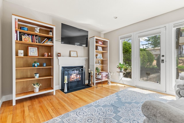 living room featuring a multi sided fireplace and wood finished floors