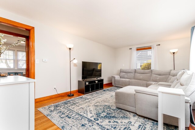 living room with baseboards, plenty of natural light, and wood finished floors