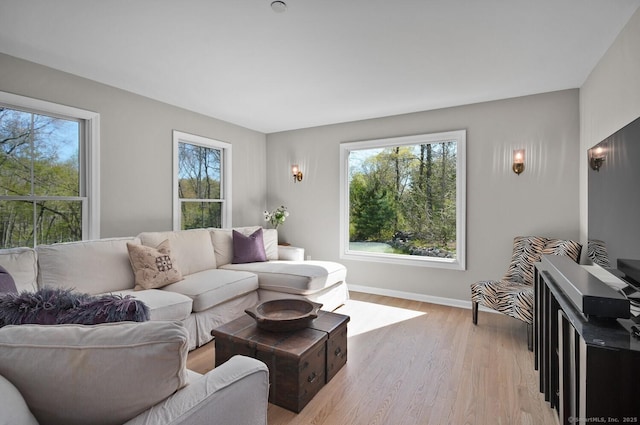 living area featuring baseboards, light wood finished floors, and a wealth of natural light