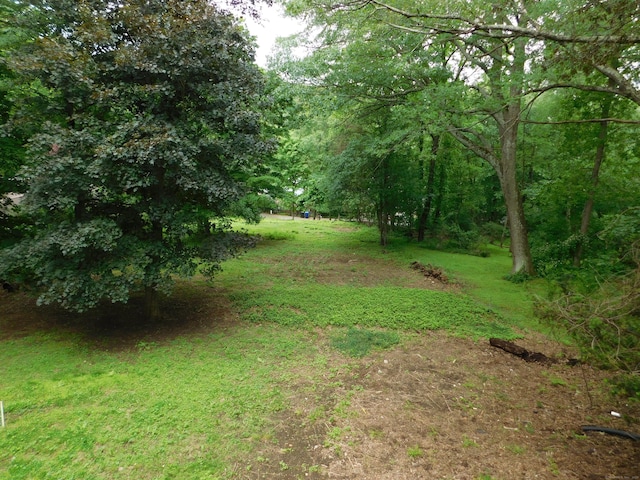 262 Candlewood Lake Rd N, New Milford, CT 06776 - photo 10