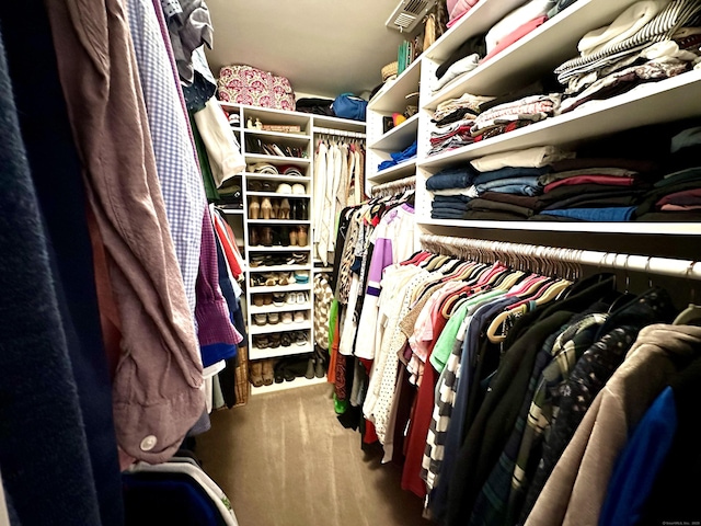 103D Wendover Dr Unit D, Monroe, CT 06468 - view of walk in closet
