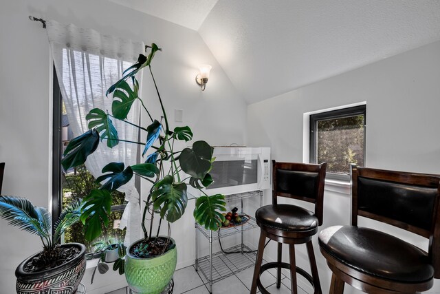 interior space featuring tile patterned floors and lofted ceiling