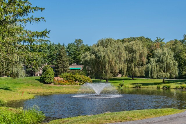 view of water feature