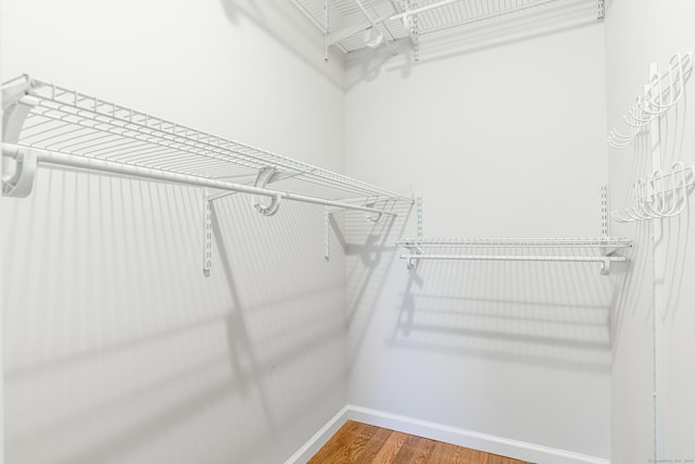 spacious closet featuring wood finished floors