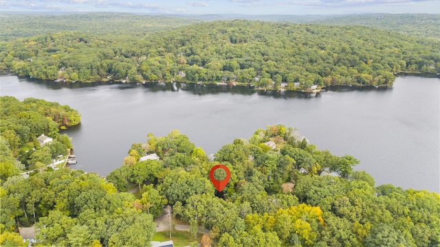 aerial view featuring a water view and a view of trees