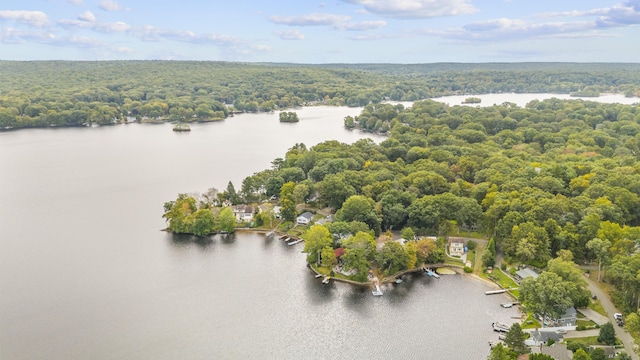 drone / aerial view with a water view and a view of trees