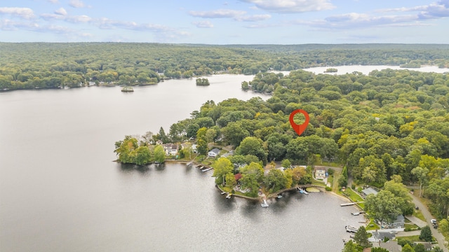 drone / aerial view featuring a forest view and a water view