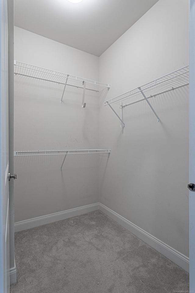 411 Brookside Ct Unit 411, Newtown, CT 06470 - spacious closet featuring carpet floors
