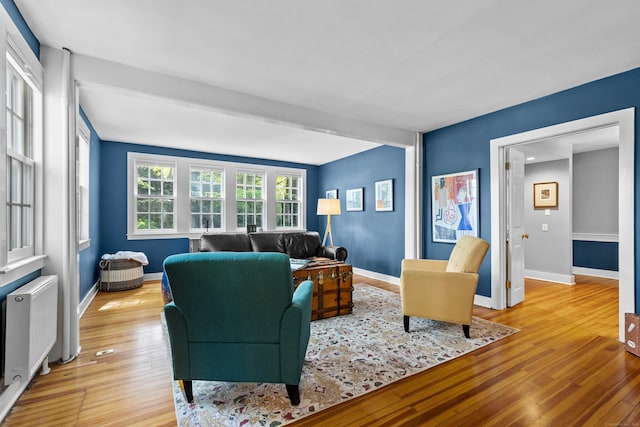 34 W Ave, Essex, CT 06426 - living room featuring light wood-style floors and radiator heating unit
