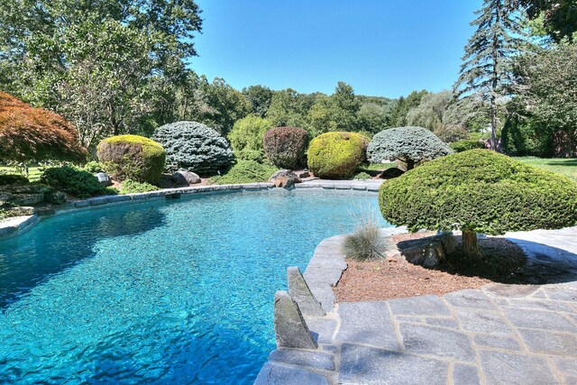 8 Northfield Dr, Westport, CT 06880 - photo 34