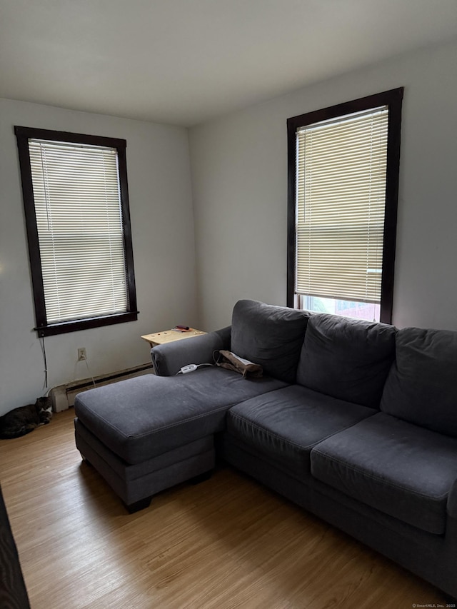 living area featuring a baseboard radiator and wood finished floors