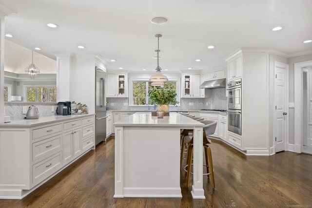 kitchen with under cabinet range hood, backsplash, stainless steel appliances, glass insert cabinets, and white cabinets