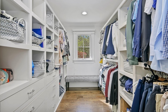 walk in closet featuring wood finished floors