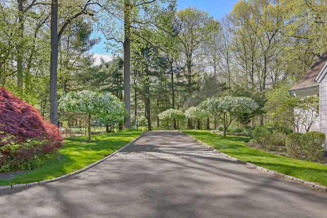 view of asphalt road with curbs