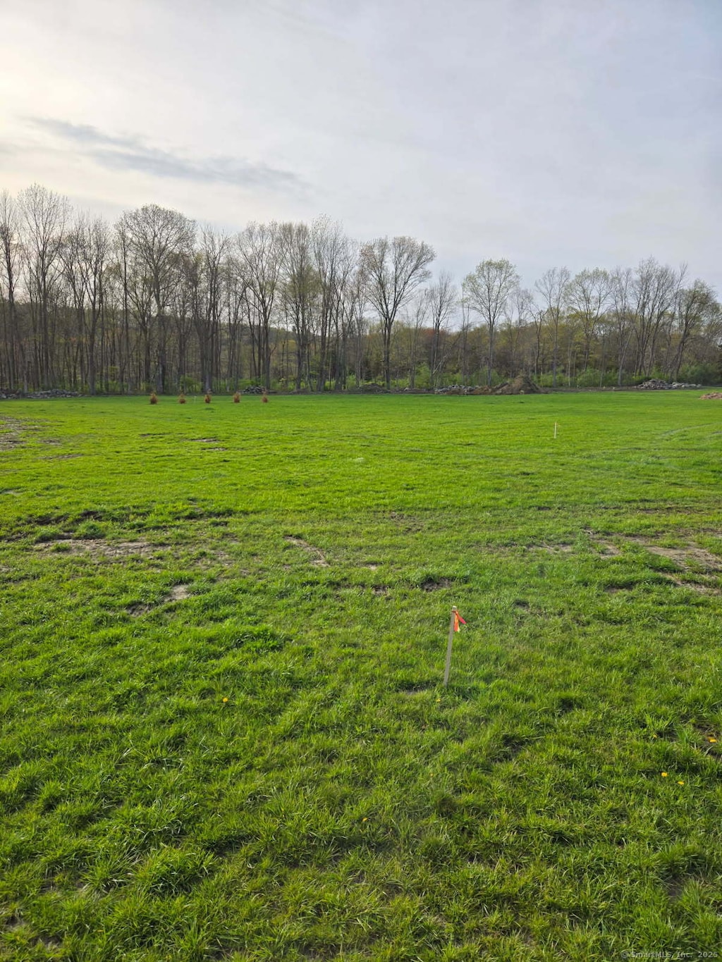 view of yard featuring a rural view