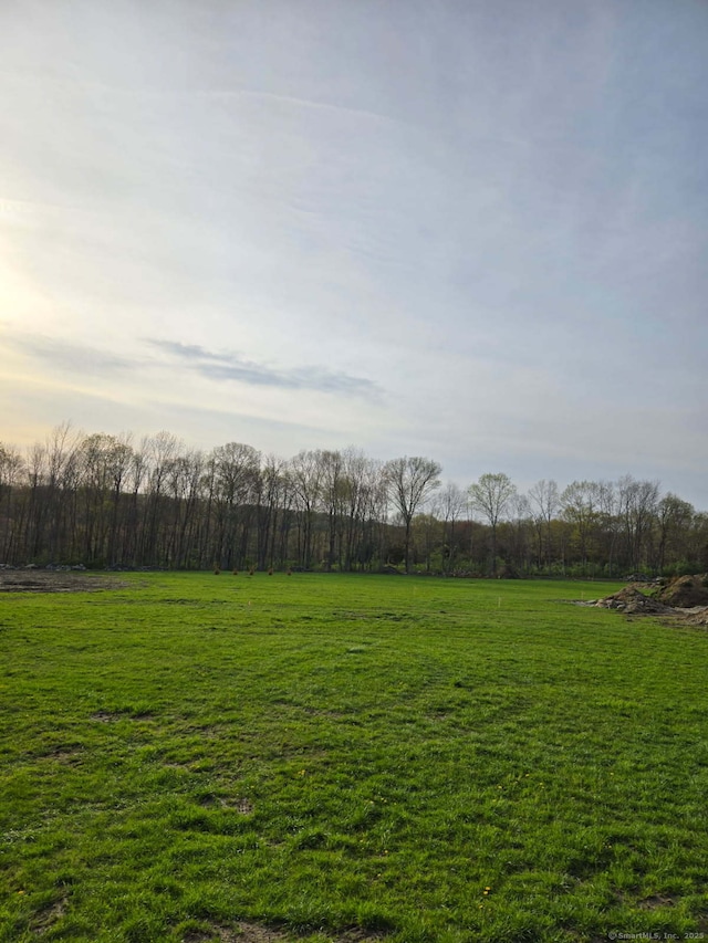 view of yard with a rural view