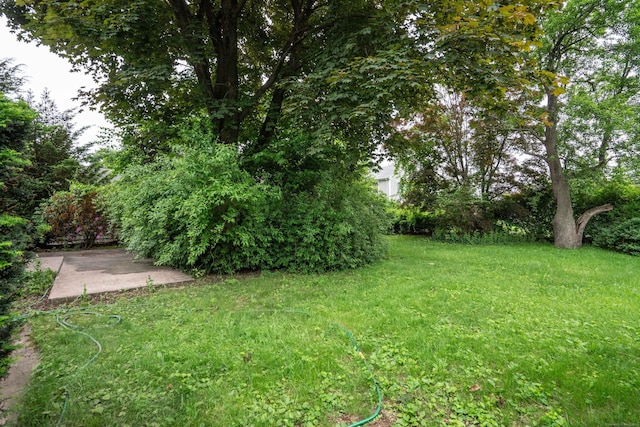 955 N Main St, West Hartford, CT 06117 - view of green lawn