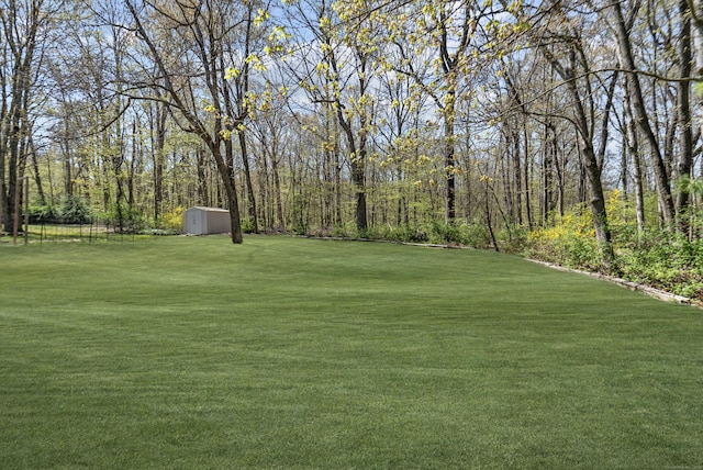 view of yard featuring an outdoor structure and a shed