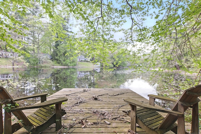 dock area with a water view