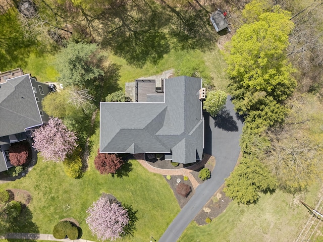 drone / aerial view