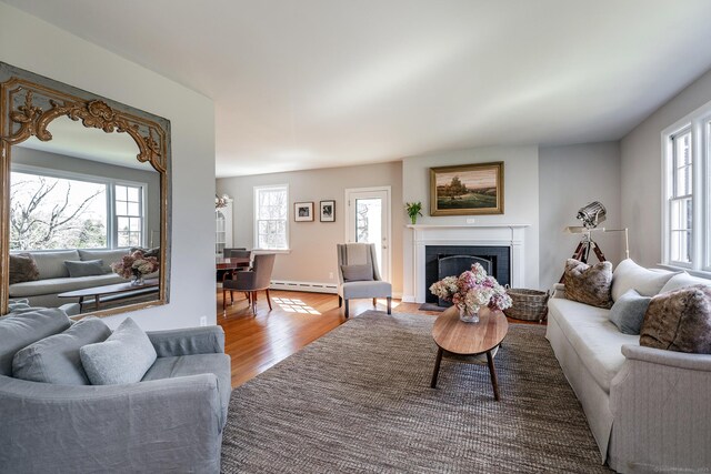 108 E St, Washington, CT 06793 - living area featuring a baseboard heating unit, a wealth of natural light, a fireplace with flush hearth, and wood finished floors