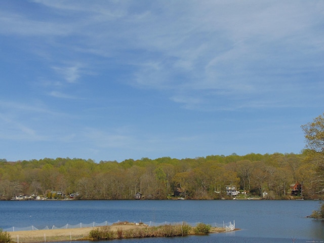 water view featuring a forest view