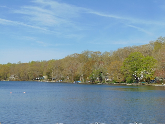 water view