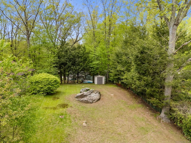 17 Glimmer Gln, East Haddam, CT 06415 - view of green lawn with a storage shed, an outdoor structure, and dirt driveway